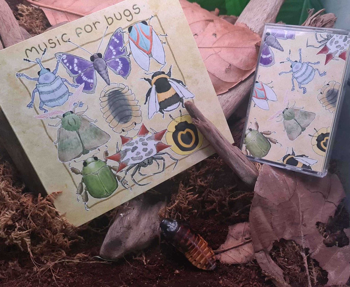 Turtle Pals Tapes (@TurtlePalsTapes) / Posts / X
