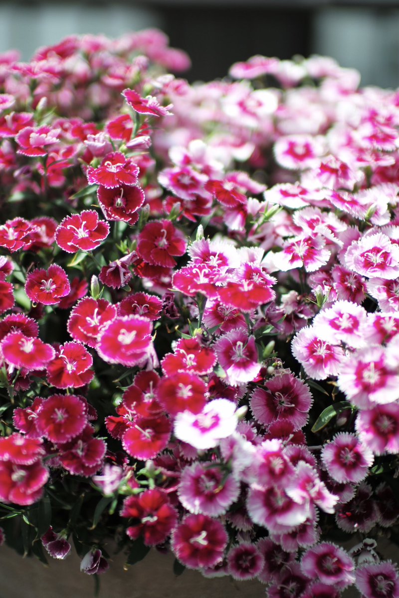 leica_summicron's tweet image. f1.2   #神田 #reflection