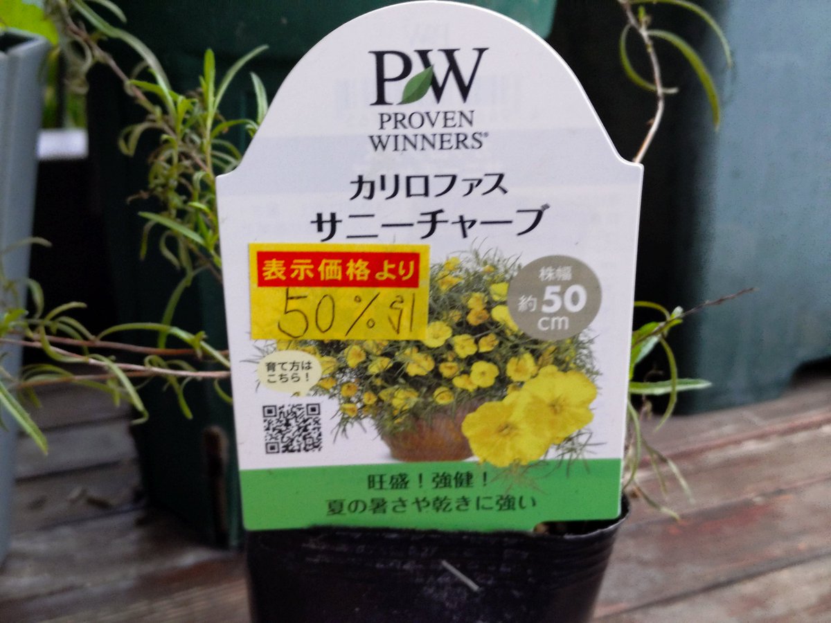 🌼野花⛸️ on X