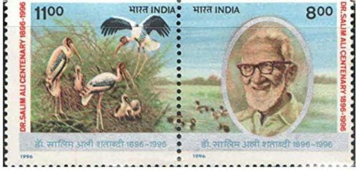 tnv_indore tweet media