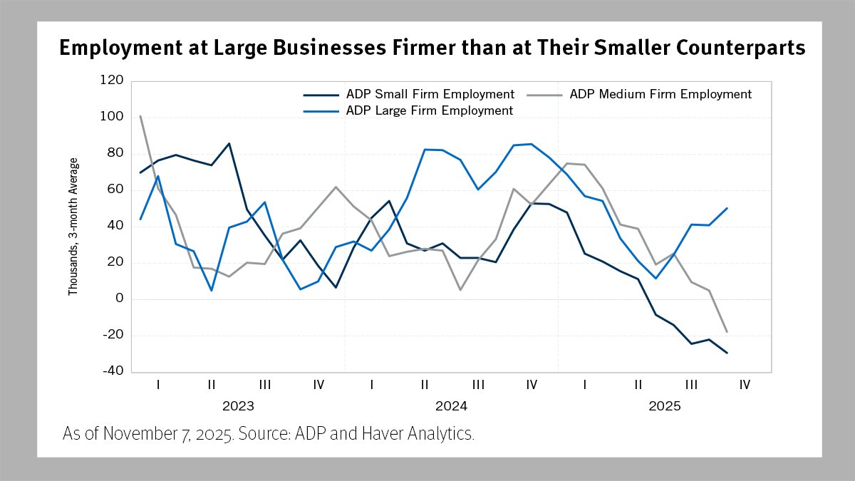 Newfleet tweet media