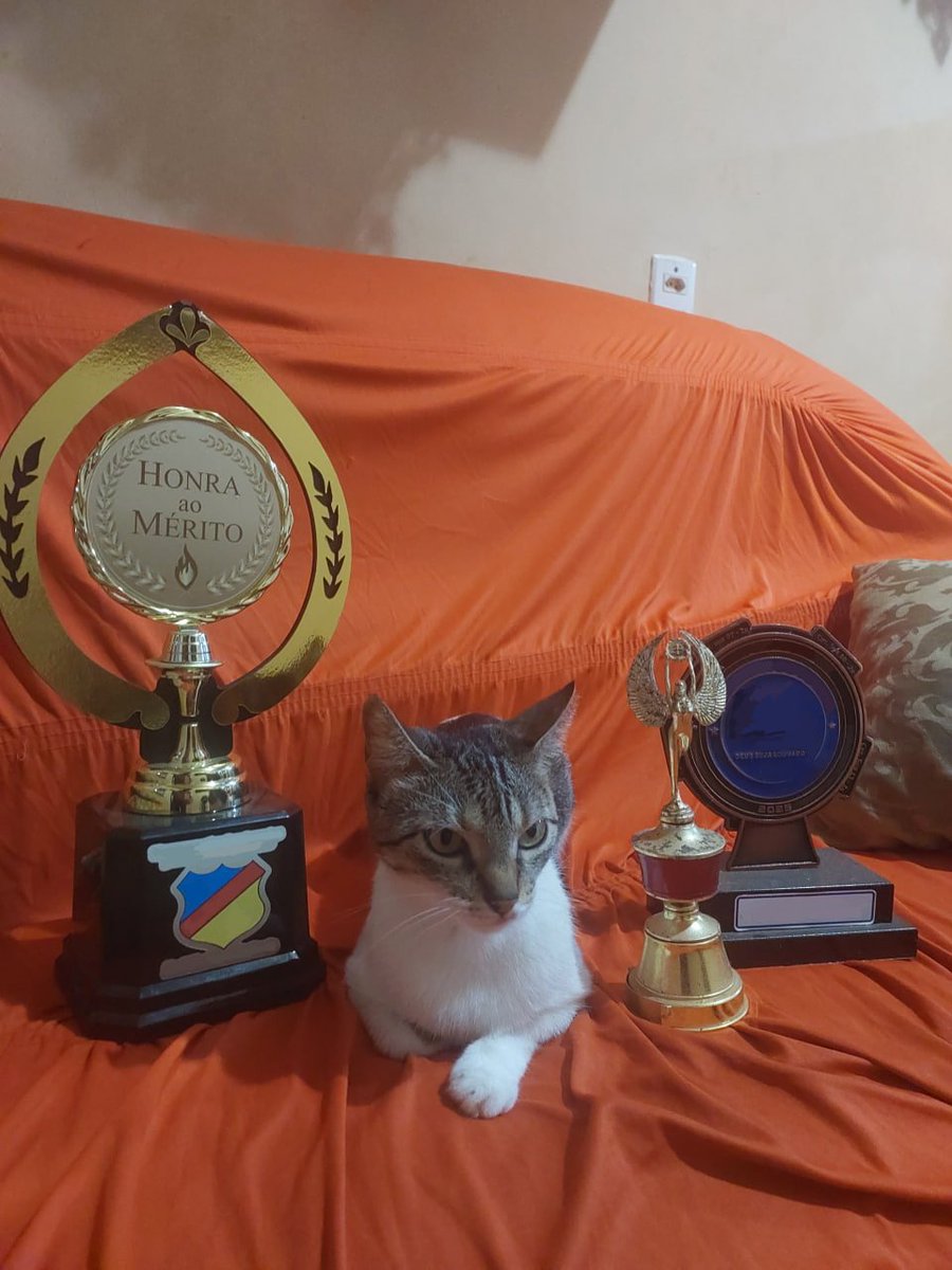 Marisen🦉 tweet media