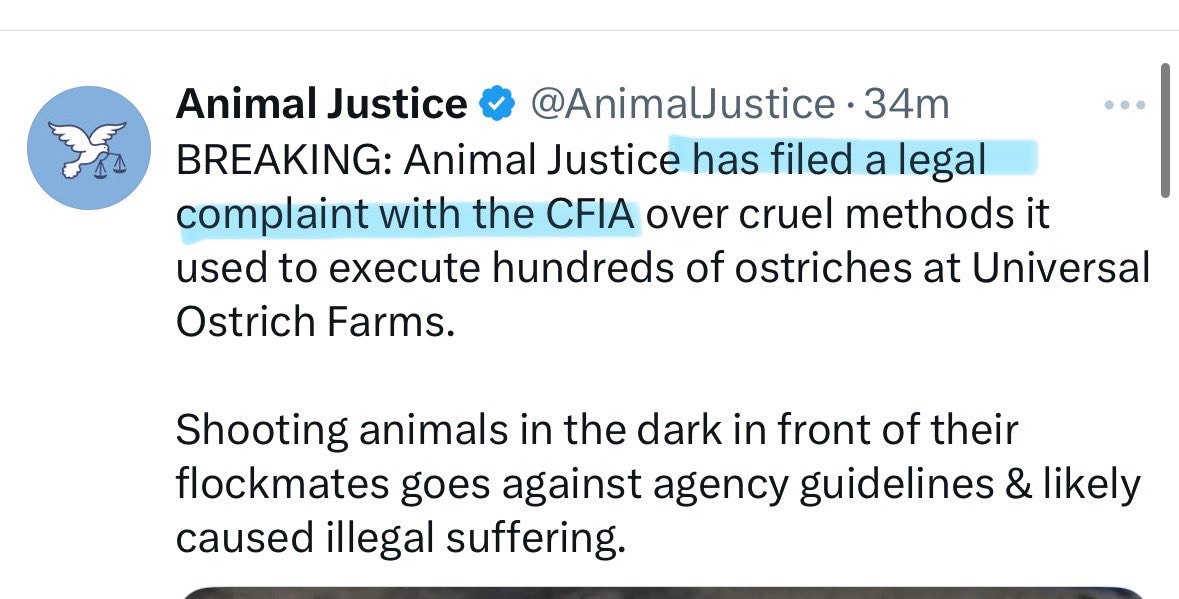 EXCELLENT 🇨🇦 A prominent Canadian animal rights organization, Animal Justice, has filed a LEGAL complaint with the CFIA over the agency’s conduct during the recent massacre of the Ostriches by GUNFIRE
<a href="/AnimalJustice/">Animal Justice</a>