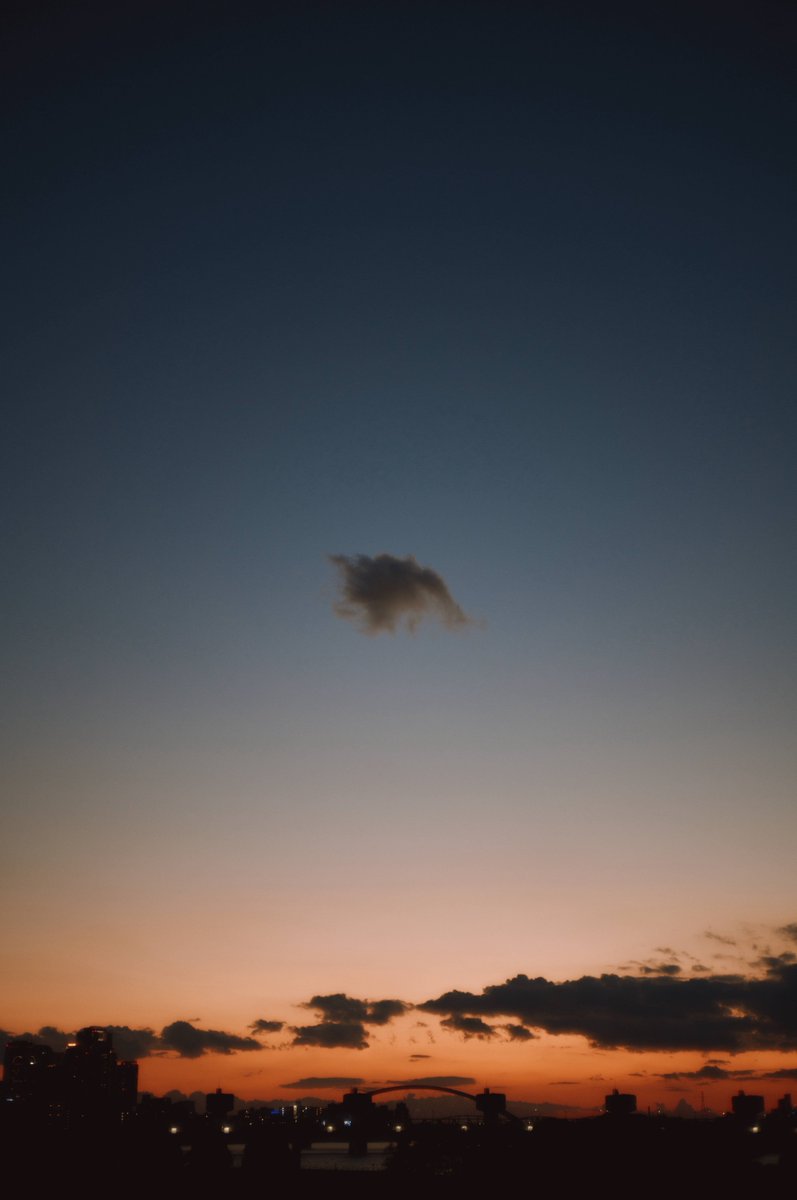 Ocha (@ocha_bnw) on Twitter photo 