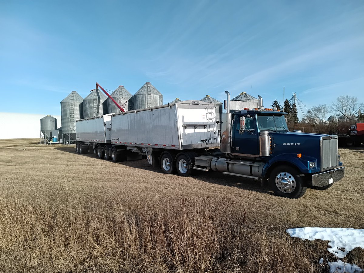 Kelsey Solick tweet media