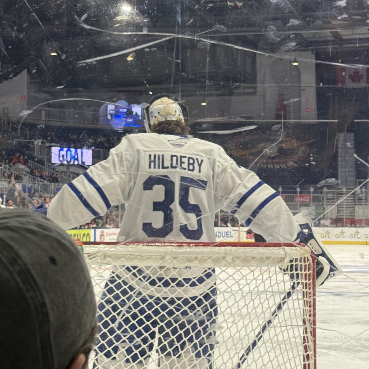 ceasesleaf's tweet photo. since everyone is doing their #hockeytwt intro! heres mine! 

hi! im cristina, aka crissy 🦋💙

• i'm 24 from toronto! she/her pronouns.
• i am a toronto hockey fan. maple leafs, and marlies forever!
• #JW60 + #DH35 enthusiast 🫂
• i also love the blue jays ⚾️ and bills 🏈 https://t.co/2QkVhtuC2H