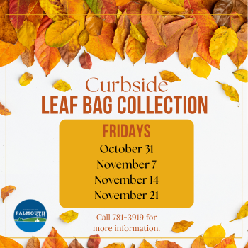 Reminder! The next curbside collection of leaf bags takes place on Friday, November 12. Final collection date is Friday, November 21.  Place bags curbside by 7:00 am to ensure collection.