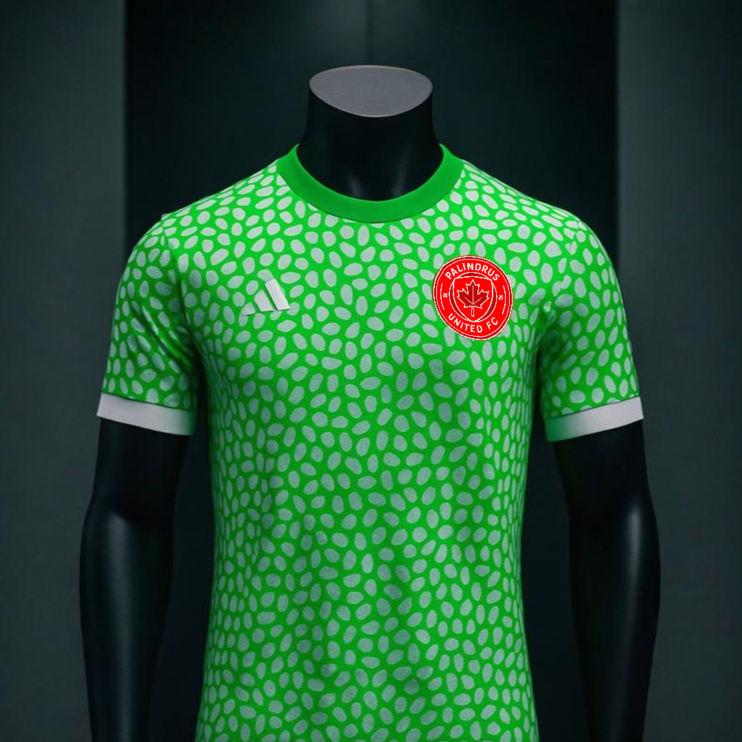 PalindrusUnited's tweet photo. 🧤 𝗣𝗥𝗘́𝗦𝗘𝗡𝗧𝗔𝗧𝗜𝗢𝗡 𝗢𝗙𝗙𝗜𝗖𝗜𝗘𝗟𝗟𝗘 🧤

Voici le nouveau maillot de gardien du Palindrus United ❤️🤍
Un design audacieux inspiré de la glace et du sang-froid de nos portiers ❄️

💚 #PalindrusUnited #GoalkeeperKit https://t.co/BhGmKzQC0t