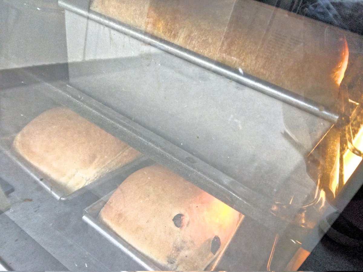 bagels_sp's tweet photo. 久々のパンドミ焼成。ご近所さんのオーダーものでした。
おはようございます。

ベーグル作りのリハビリと勘戻しも兼ねて重い腰を上げました。
本業の方が手一杯でなかなか時間がとれずで作れずにいるベーグルですが年明けの初焼きベーグルは少量ですが今回もまた着手させてもらいます≈🎍🥯 https://t.co/4m7Qbxnx0F