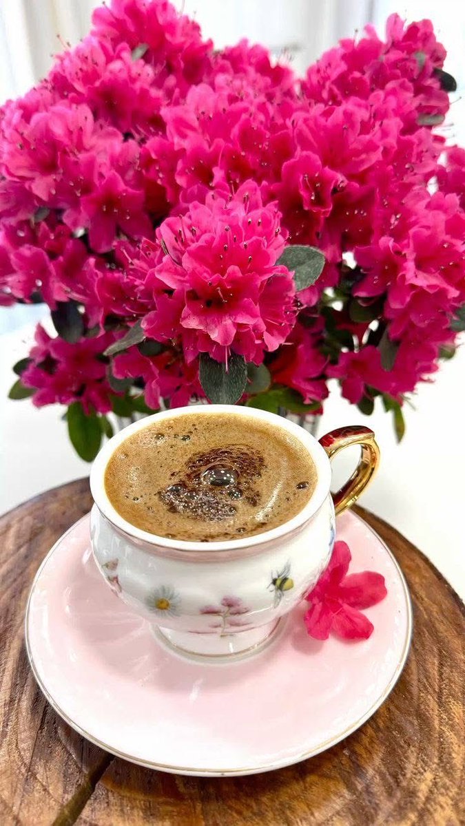 Гэгээн өглөө Сайн байна уу😊
#GoodMorningEveryone