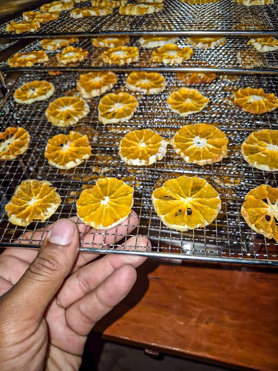 PROGRESO3's tweet image. Productoras de la Asociación de Mujeres Emprendedoras del caserío Guardalapa participaron en un taller práctico de fortalecimiento técnico, centrado en el uso del equipo deshidratador.
📷 Actividad desarrollada en el marco del Proyecto Vivir en Armonía, financiado por @Misereor