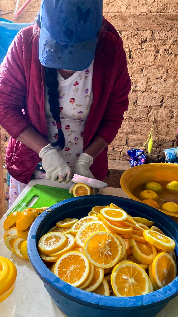 PROGRESO3's tweet image. Productoras de la Asociación de Mujeres Emprendedoras del caserío Guardalapa participaron en un taller práctico de fortalecimiento técnico, centrado en el uso del equipo deshidratador.
📷 Actividad desarrollada en el marco del Proyecto Vivir en Armonía, financiado por @Misereor