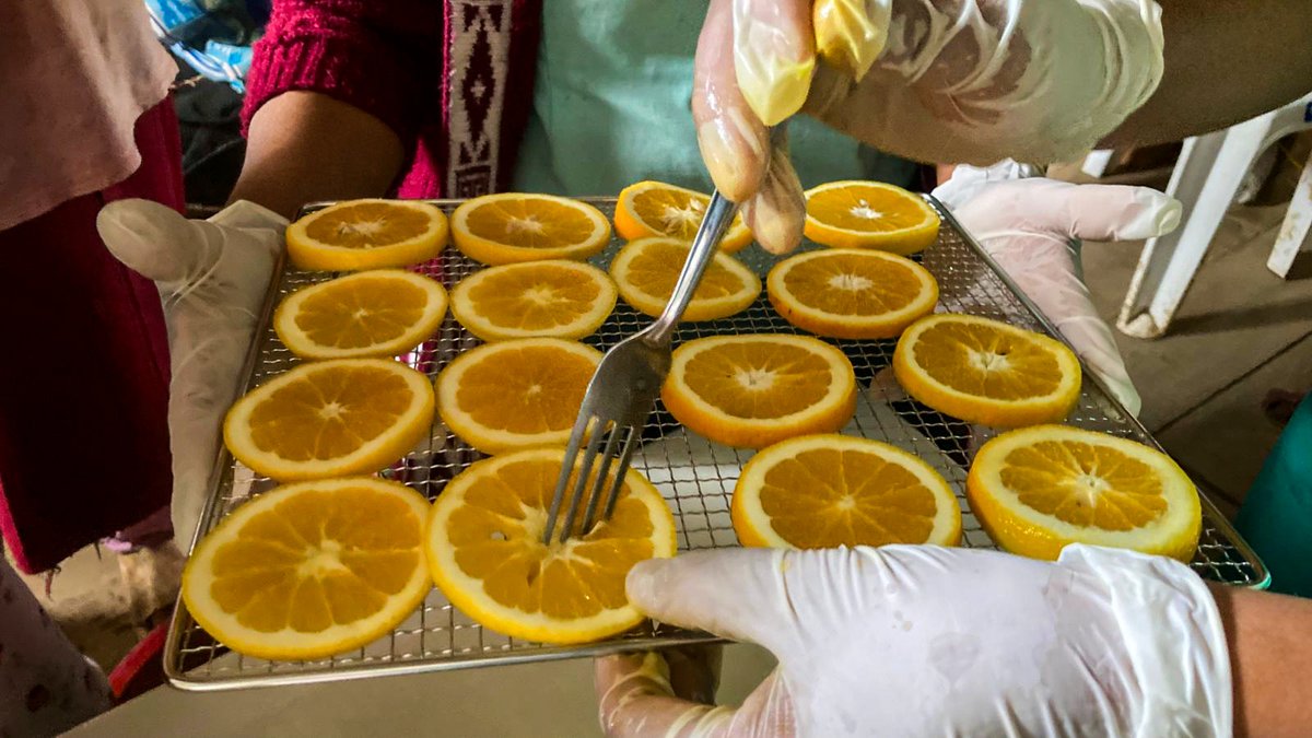 PROGRESO3's tweet image. Productoras de la Asociación de Mujeres Emprendedoras del caserío Guardalapa participaron en un taller práctico de fortalecimiento técnico, centrado en el uso del equipo deshidratador.
📷 Actividad desarrollada en el marco del Proyecto Vivir en Armonía, financiado por @Misereor