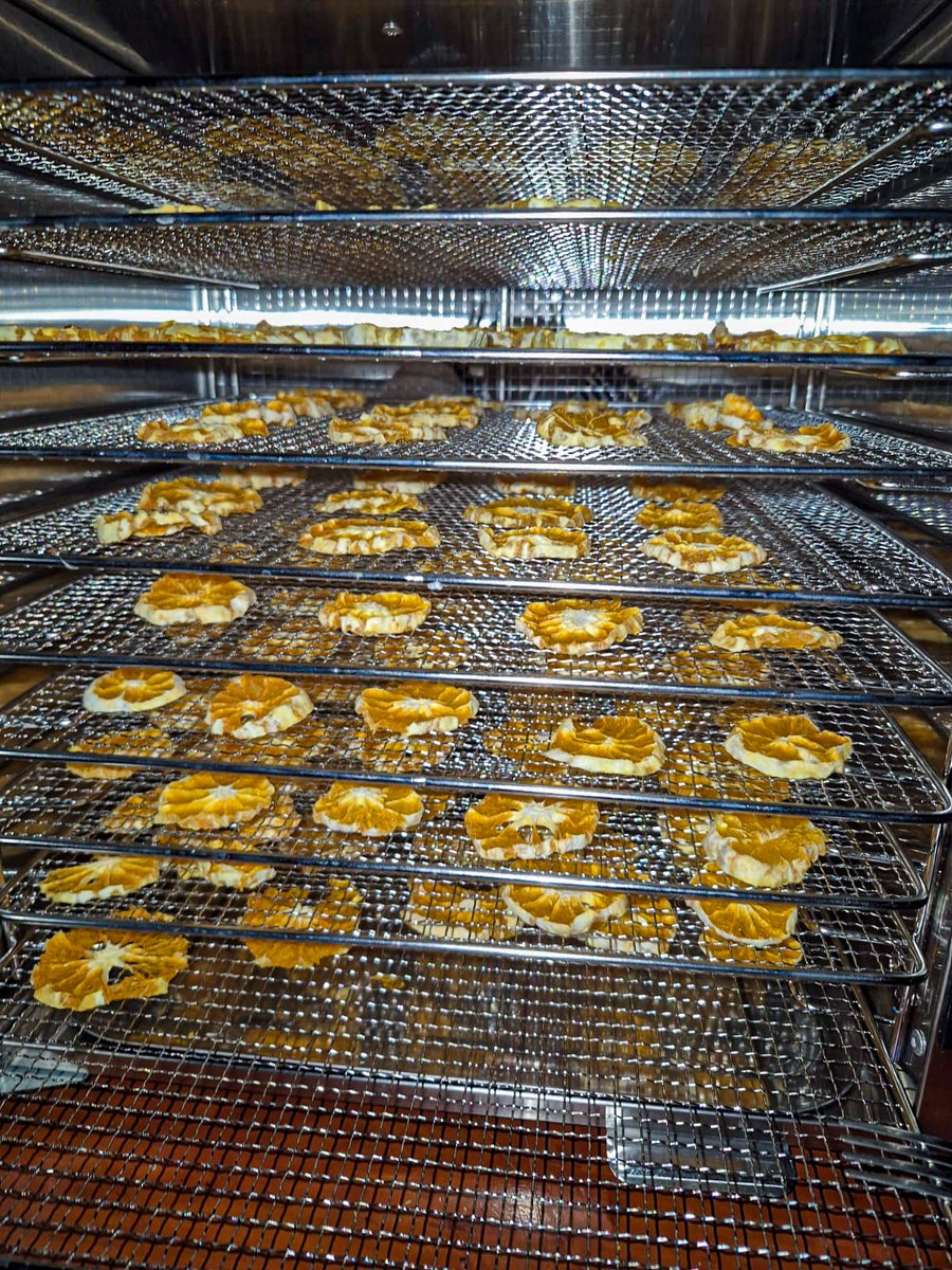 PROGRESO3's tweet image. Productoras de la Asociación de Mujeres Emprendedoras del caserío Guardalapa participaron en un taller práctico de fortalecimiento técnico, centrado en el uso del equipo deshidratador.
📷 Actividad desarrollada en el marco del Proyecto Vivir en Armonía, financiado por @Misereor
