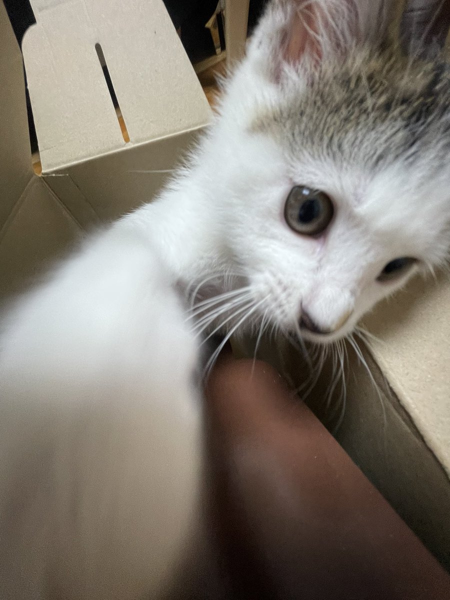 수능 파이팅!!!!!
할수이써!!!!!
잘할거야!!!!!