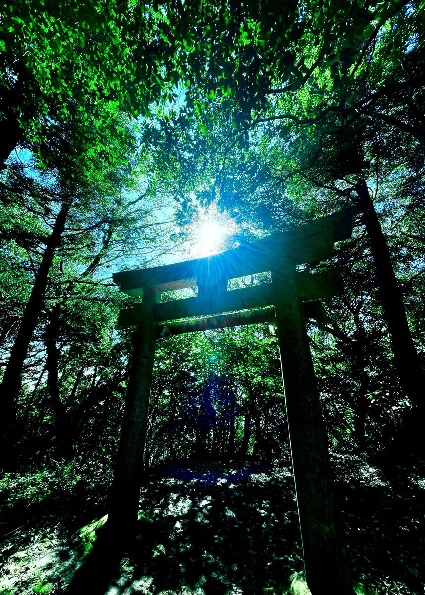 msmCh_108's tweet image. #HelloWorld #foryou