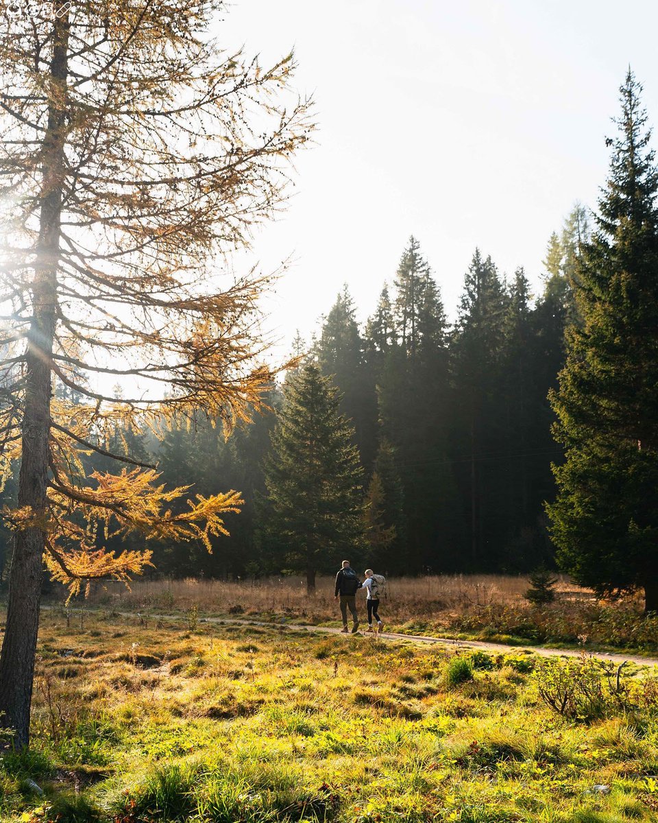 Positivity shows true happiness if you stay positive.⚾🧵📍🧓