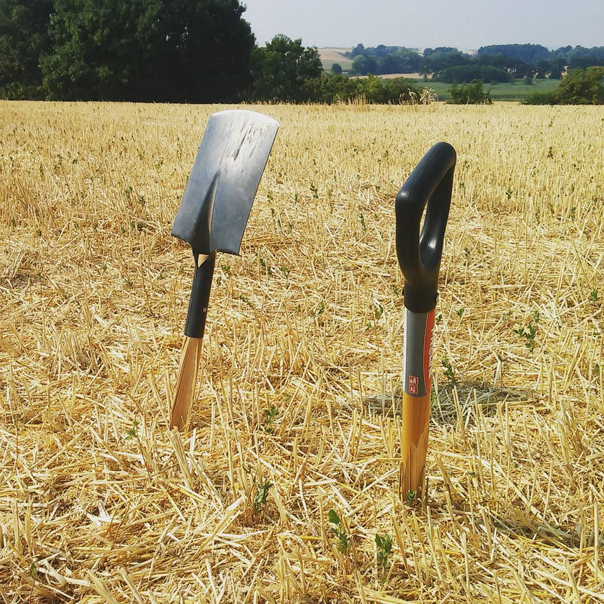 Max Mackiewicz tweet media