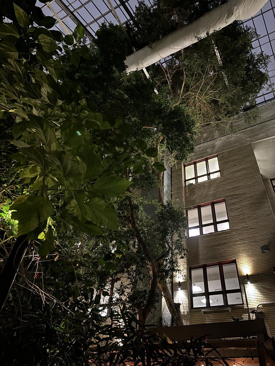 riz_mauve's tweet image. #studytime 🌿