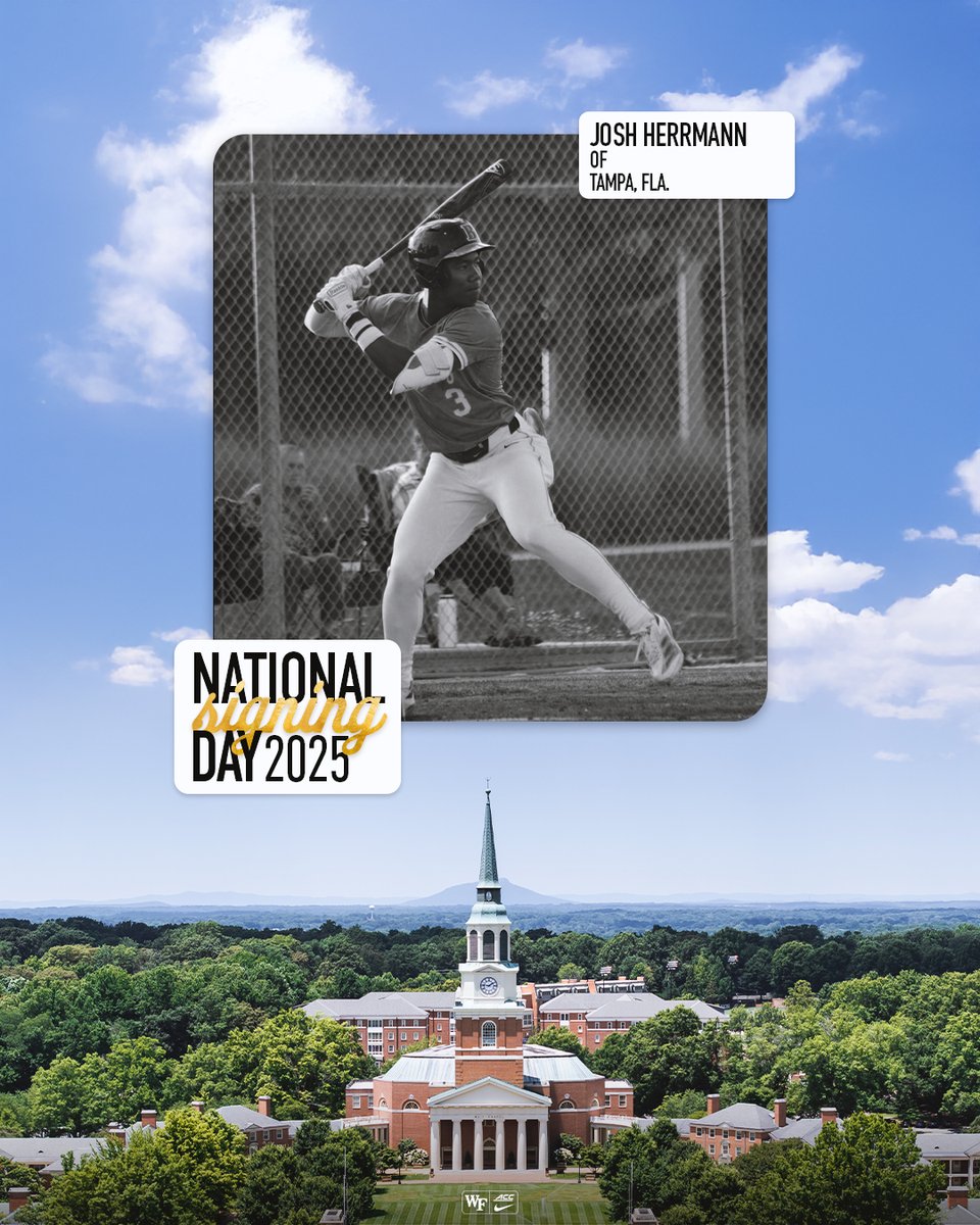 Wake Forest Baseball tweet media