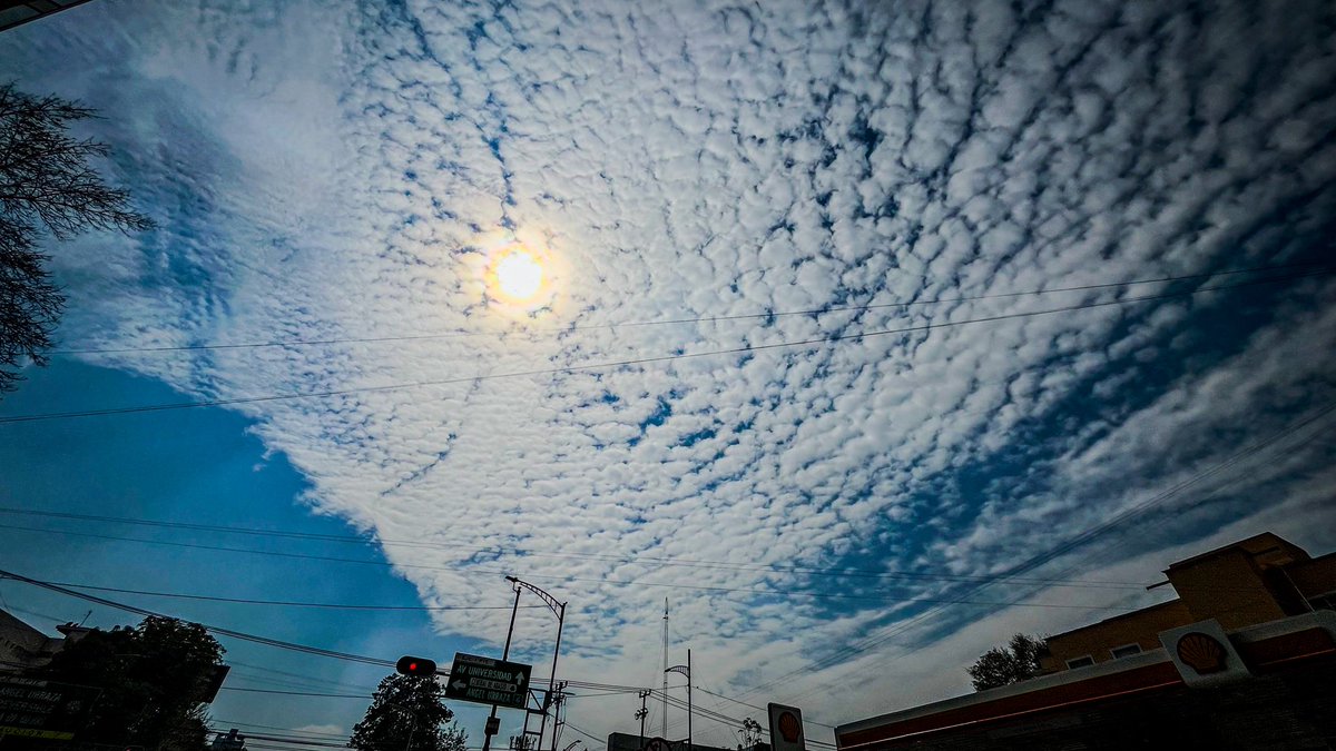 Enrique I. Castillo tweet media