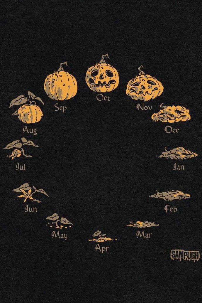 BunnieKat1962's tweet image. The circle of life...
#Pumpkin