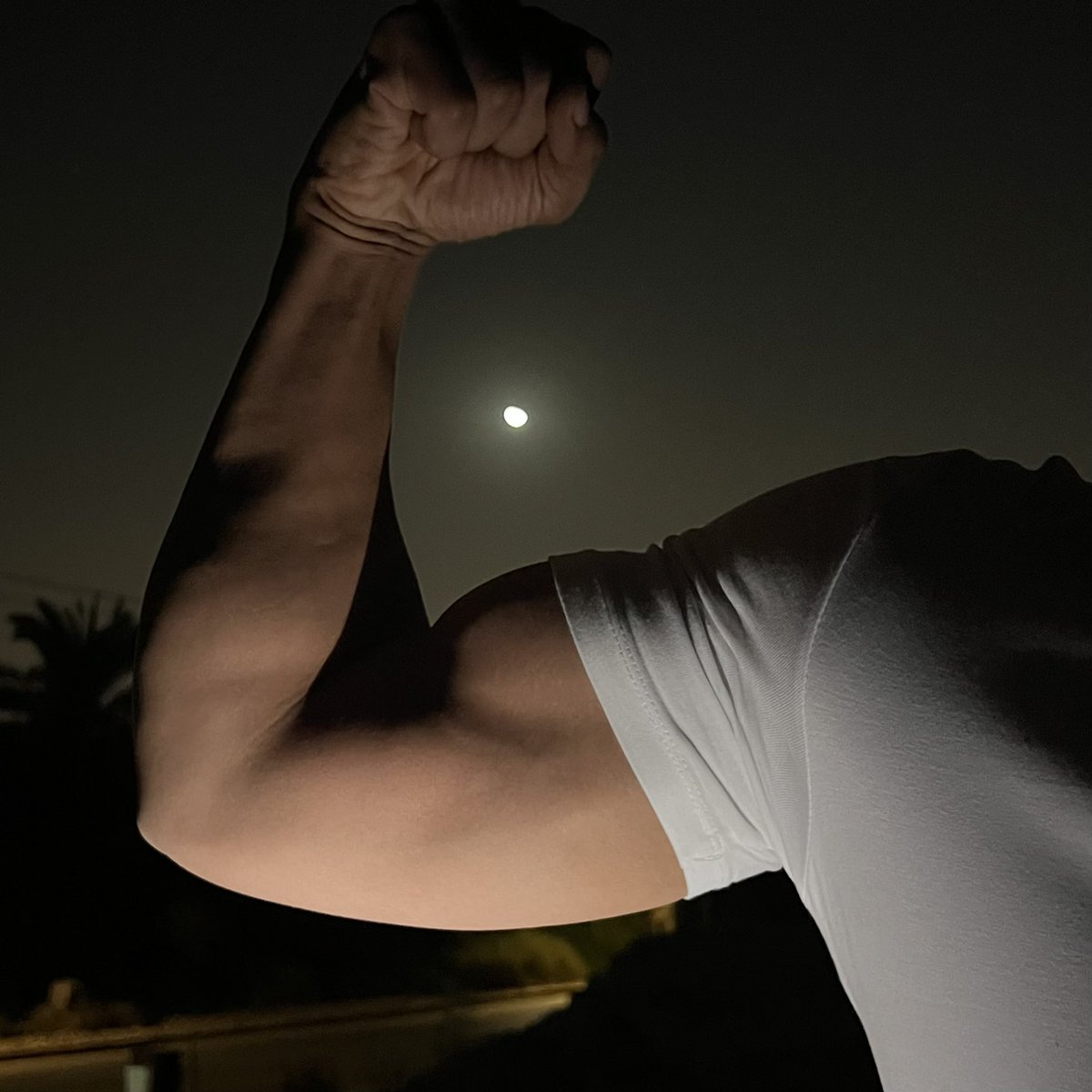 mohamed ➿ tweet media