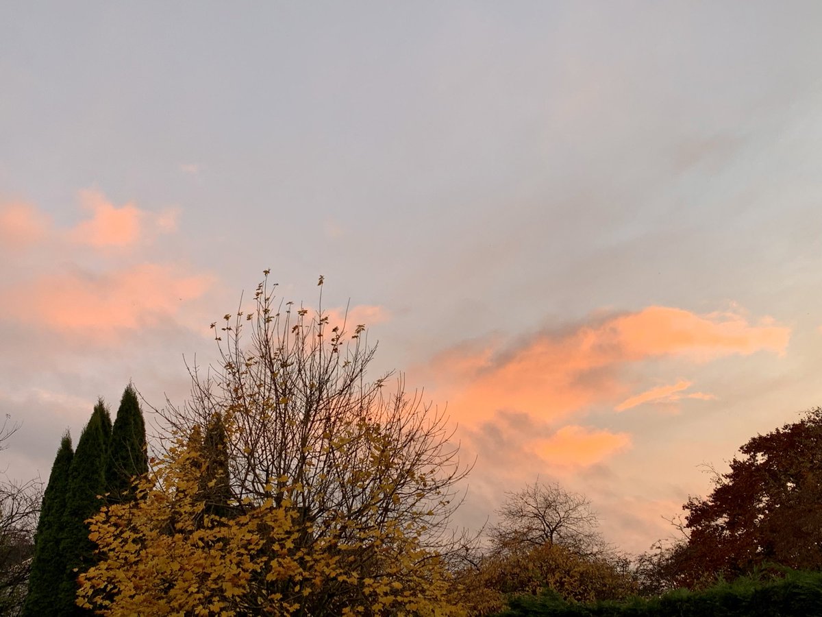 In the softest light
is how
I see you

#myphoto