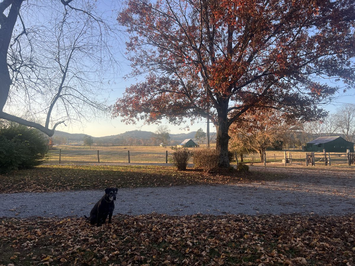 Mandy Young tweet media