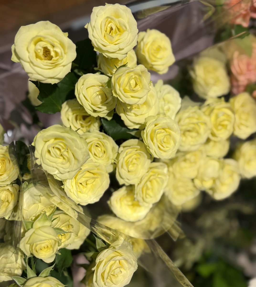 트친님들 중엔 안계실테고
오늘 수능보는 트친님들의 자제분들!
모두모두 좋은 컨디션으로
커다란 행운까지 함께 따라서
원래 좋은 실력보다 더더 좋은 결과 얻고
후련한 마음으로 맛난 저녁드실
오늘 하루를 힘껏 응원합니다🍀

트친님들도 너무 수고 많으셨어요🥹💕