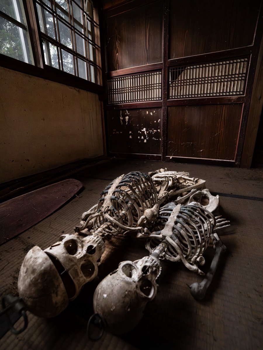 裏散歩 tweet media