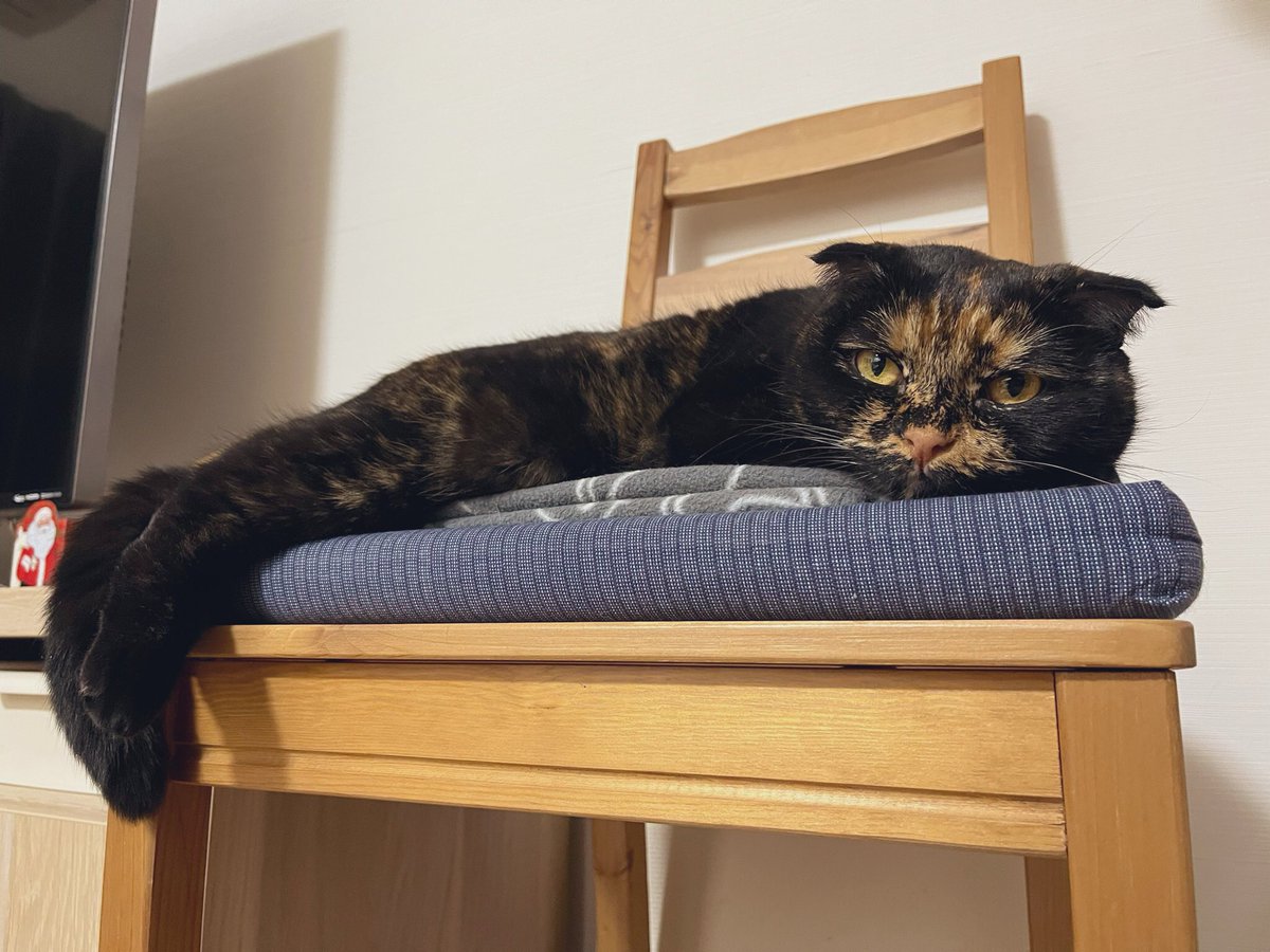 サビスコはるちゃんとお母さん on X