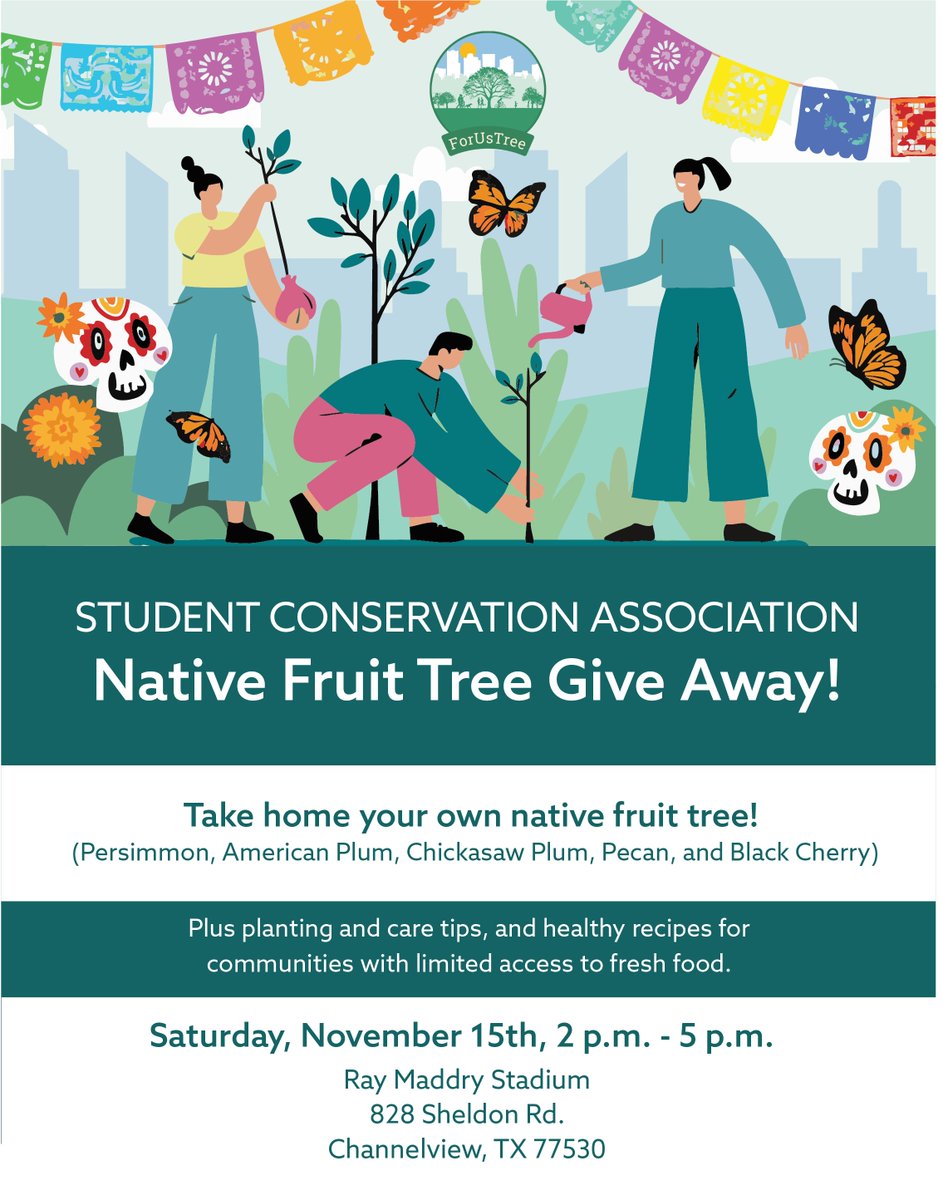 HARCresearch's tweet image. Bring home a taste of Texas! 🌿🍑 

Join @the_sca &amp;amp; #ForUsTree partners for a Native Fruit Tree Giveaway 🌳 
 📅 Sat, Nov 15 | 2 PM – 5 PM 
 📍 Ray Maddry Stadium, 828 Sheldon Rd 

Free Persimmon, Plum, Pecan &amp;amp; Black Cherry trees + care tips! 

Funded by the USDA Forest Service.