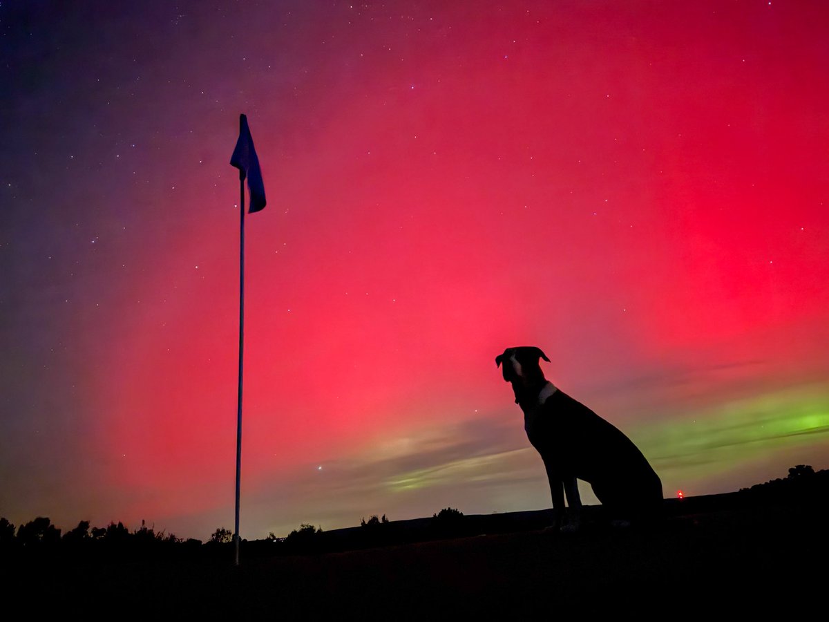 Koji Mitchell tweet media