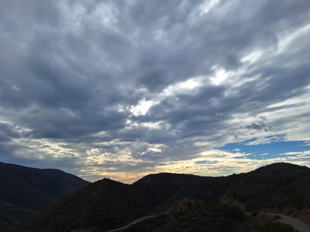 CLee71's tweet image. 