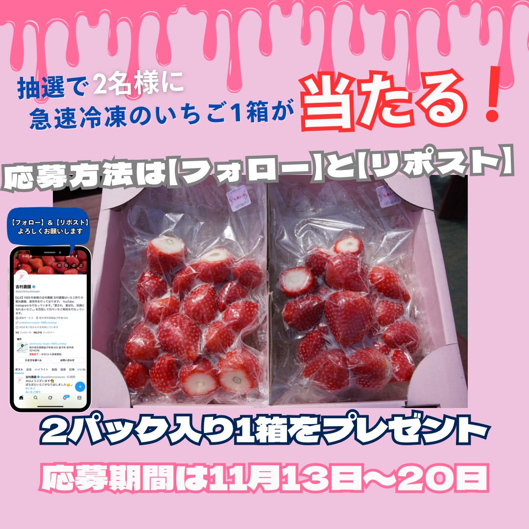 🍓#プレゼント企画 開催中🍓
冷凍いちご1箱（2パック入）を【2名様に】プレゼント🎁
　
＼急速冷凍で甘さそのまま／
おうちで手軽にいちごスイーツ🍓✨

応募はかんたん👇
✅<a href="/yoshimuranouen/">吉村農園</a> をフォロー
✅この投稿をリポスト（RT）で完了！

📅応募期間：11月13日〜11月20日 23:59まで