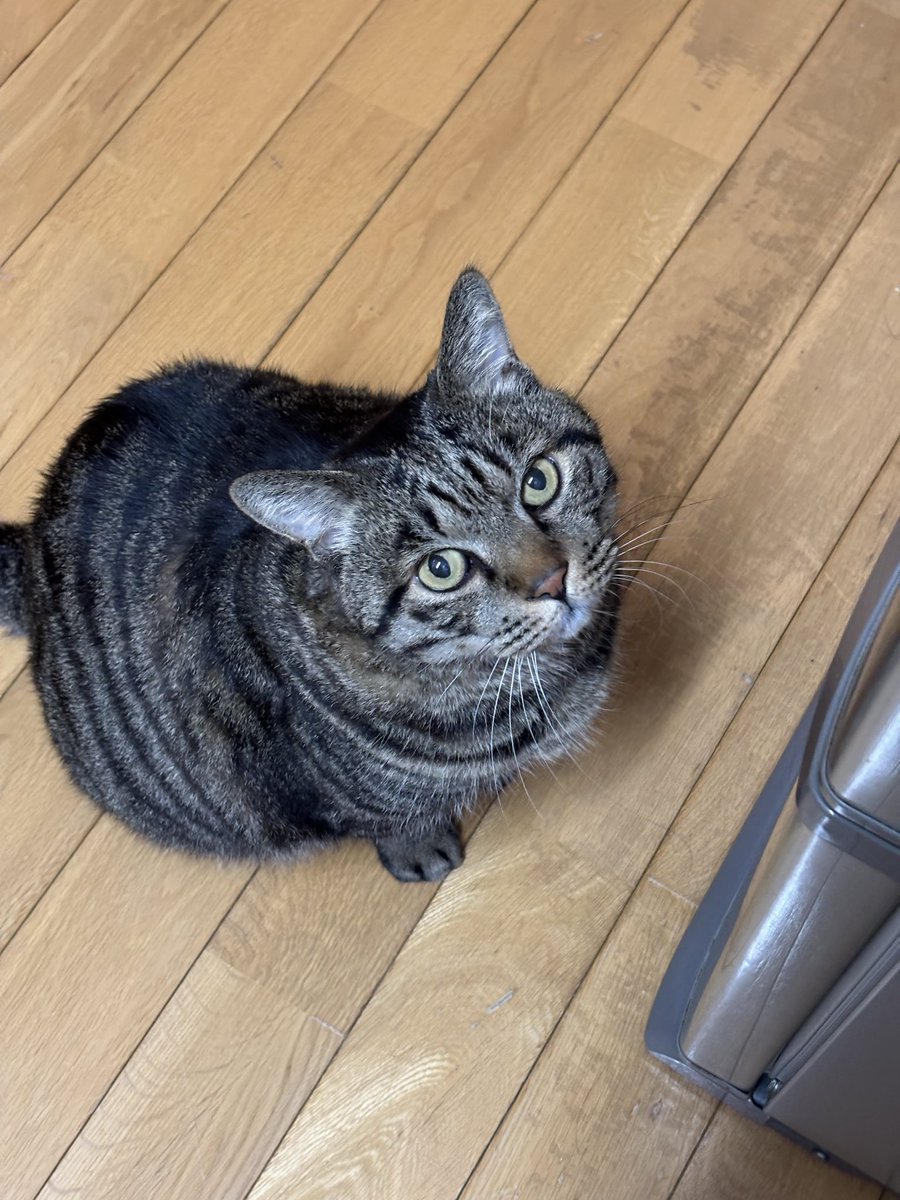 ご飯さっき食べたでしょ