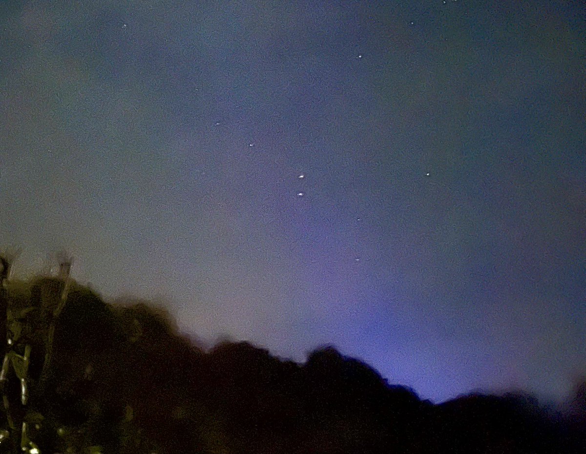 Jacquie Bridges tweet media