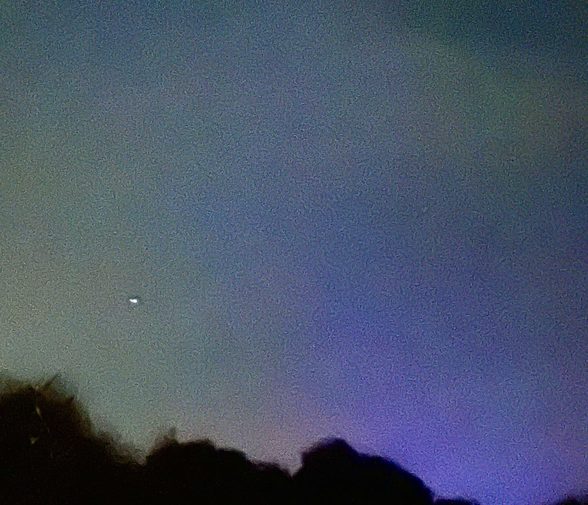 Jacquie Bridges tweet media