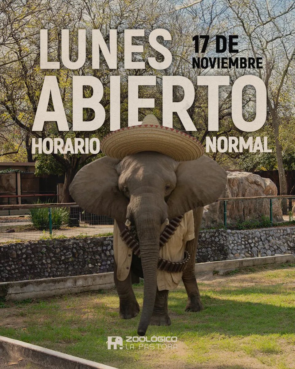 ¡Disfruta el puente a lo grande en Parque La Pastora! 🤩🐘🌿

Abrimos a partir de las 9:00 AM
Cerramos a las 6:00 PM

¡Aprovecha la última semana de acceso gratuito! 🎟️🆓
(Lunes 17 de noviembre sigue siendo gratuita la entrada)

¡Te esperamos! 🐘🌟