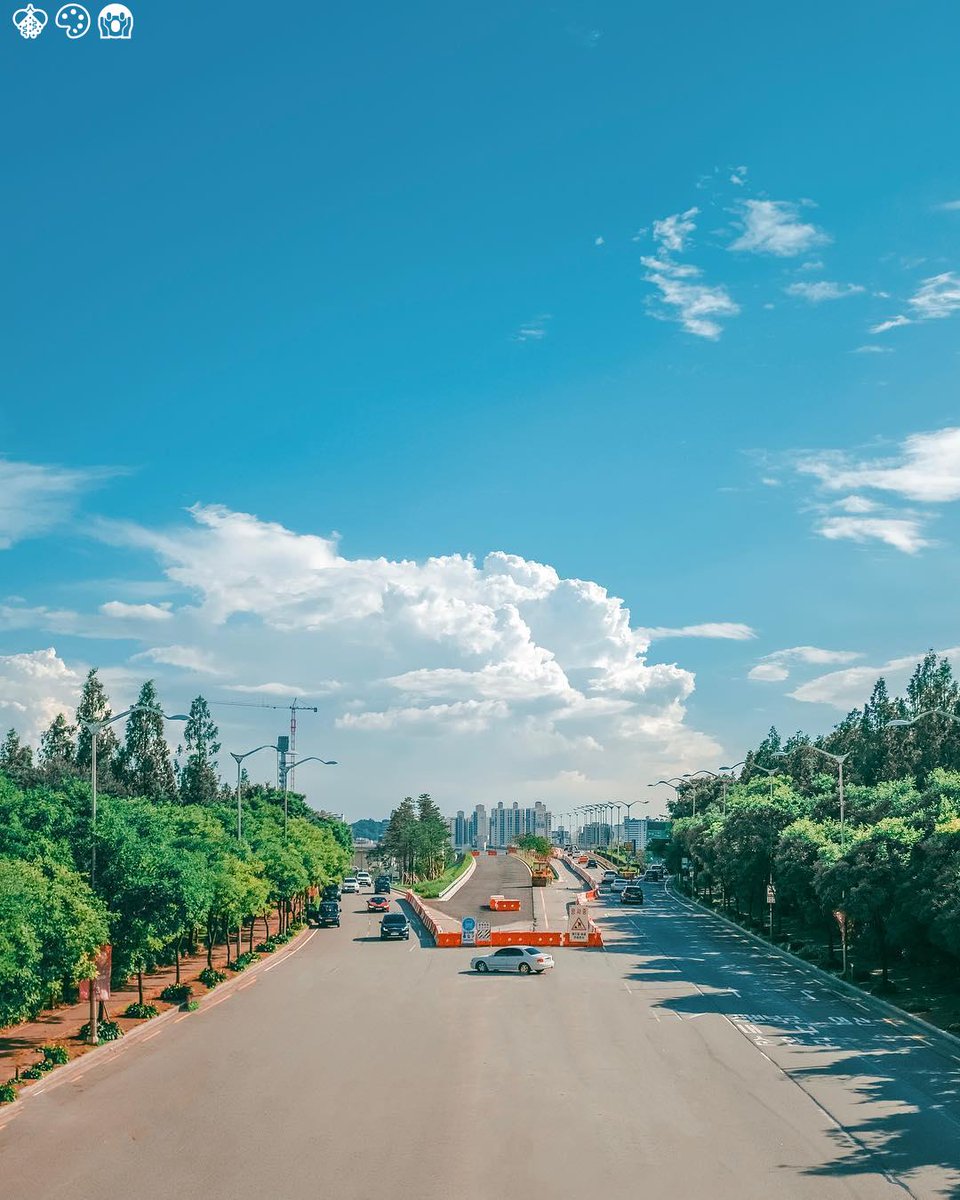 Cities turn hopeful dreams again change futures before🚑🍠❣🐘