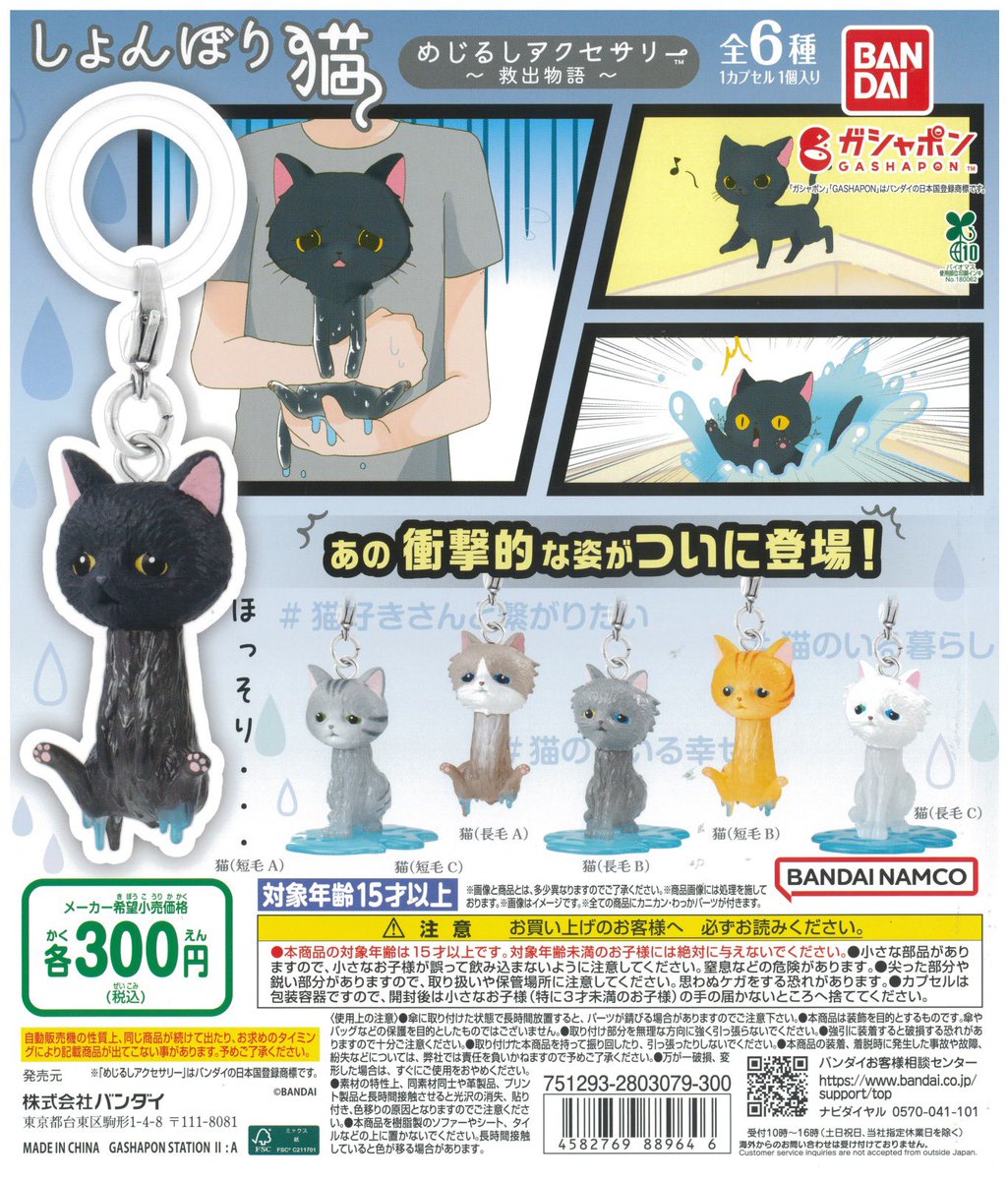 しょんぼり猫 めじるしアクセサリー 救出物語】 11月上旬の