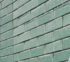 𝘽𝙐𝙎𝙒𝙀𝙇𝙇🐘 tweet media