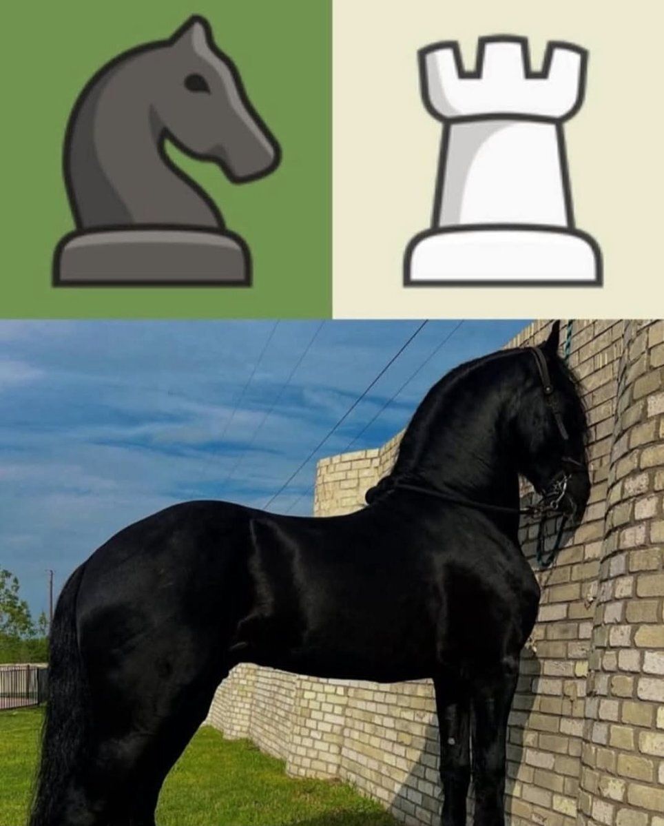 no context memes (@weirddalle) on Twitter photo 