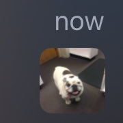 Lily Bloom (@lilyfbloom) on Twitter photo 