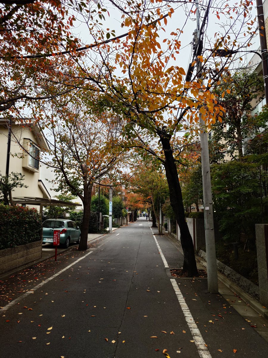 BOB (@bobfromtokyo) on Twitter photo 