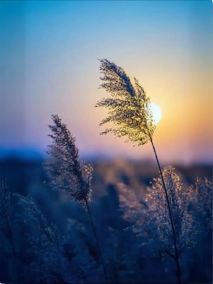 Love life (@zqyjbjfqj6ocagd) on Twitter photo 