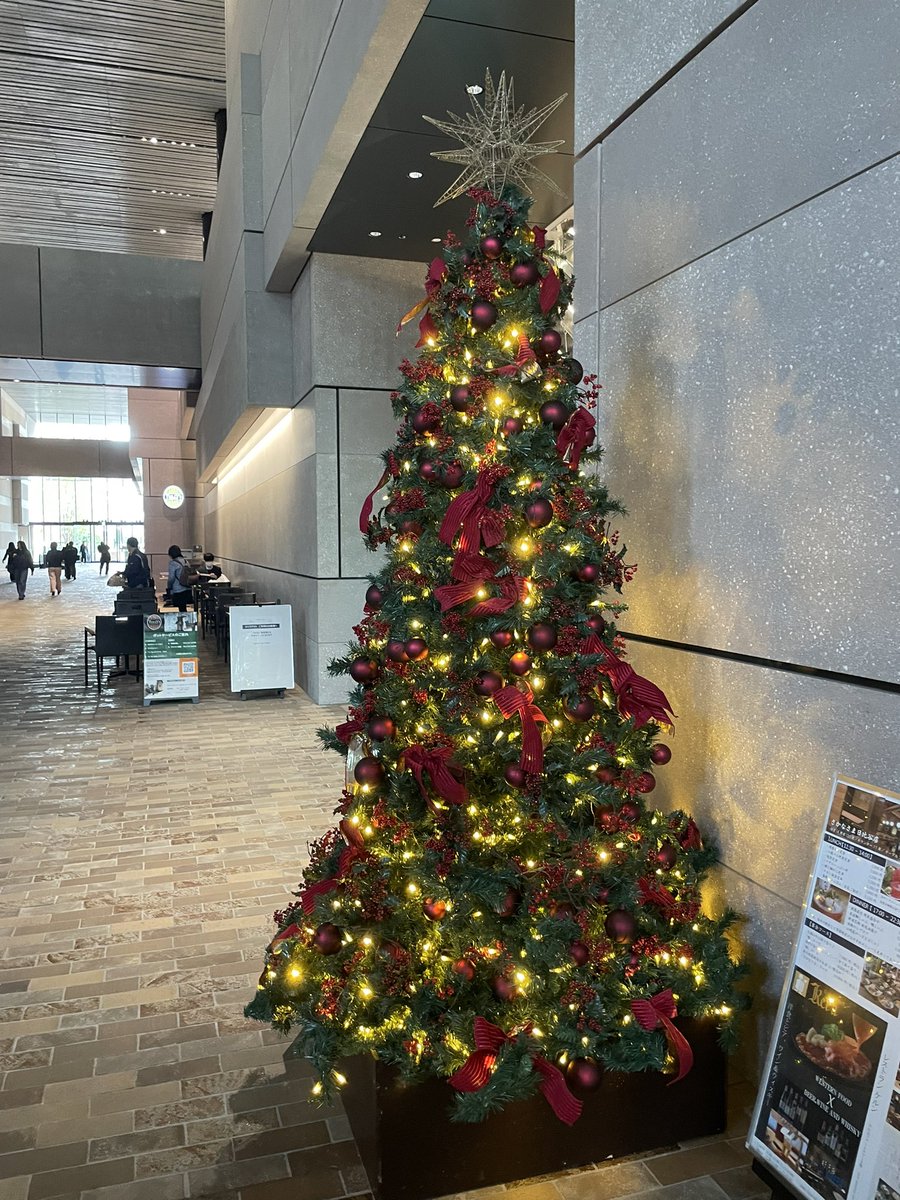 今年初のクリスマスツリー🎄を観測。そうか、もう今年も終わるのか…