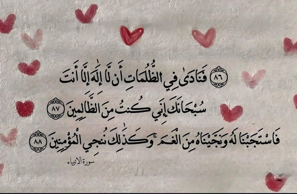 Noha Dwedar tweet media