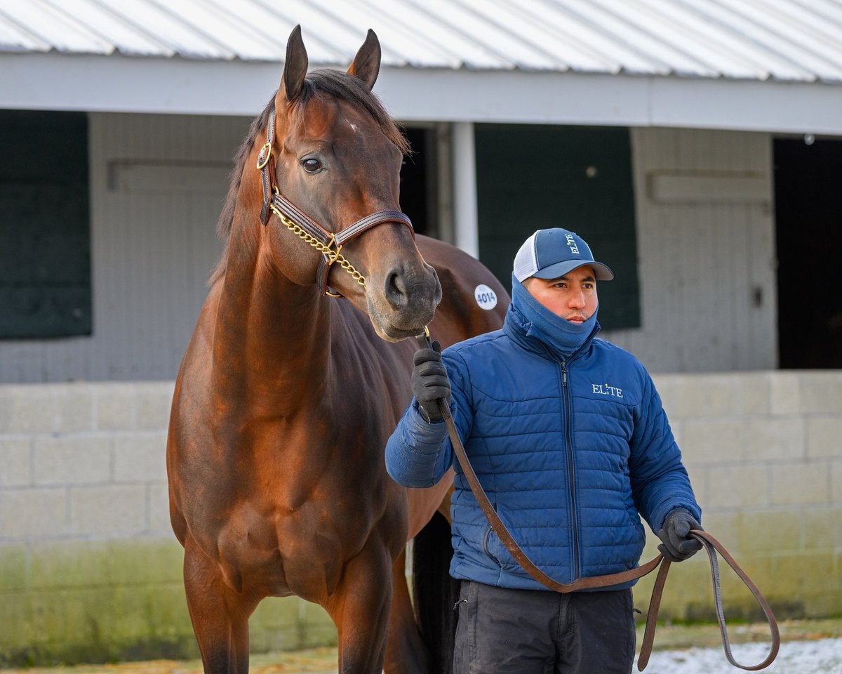 Anne Eberhardt Keogh tweet media
